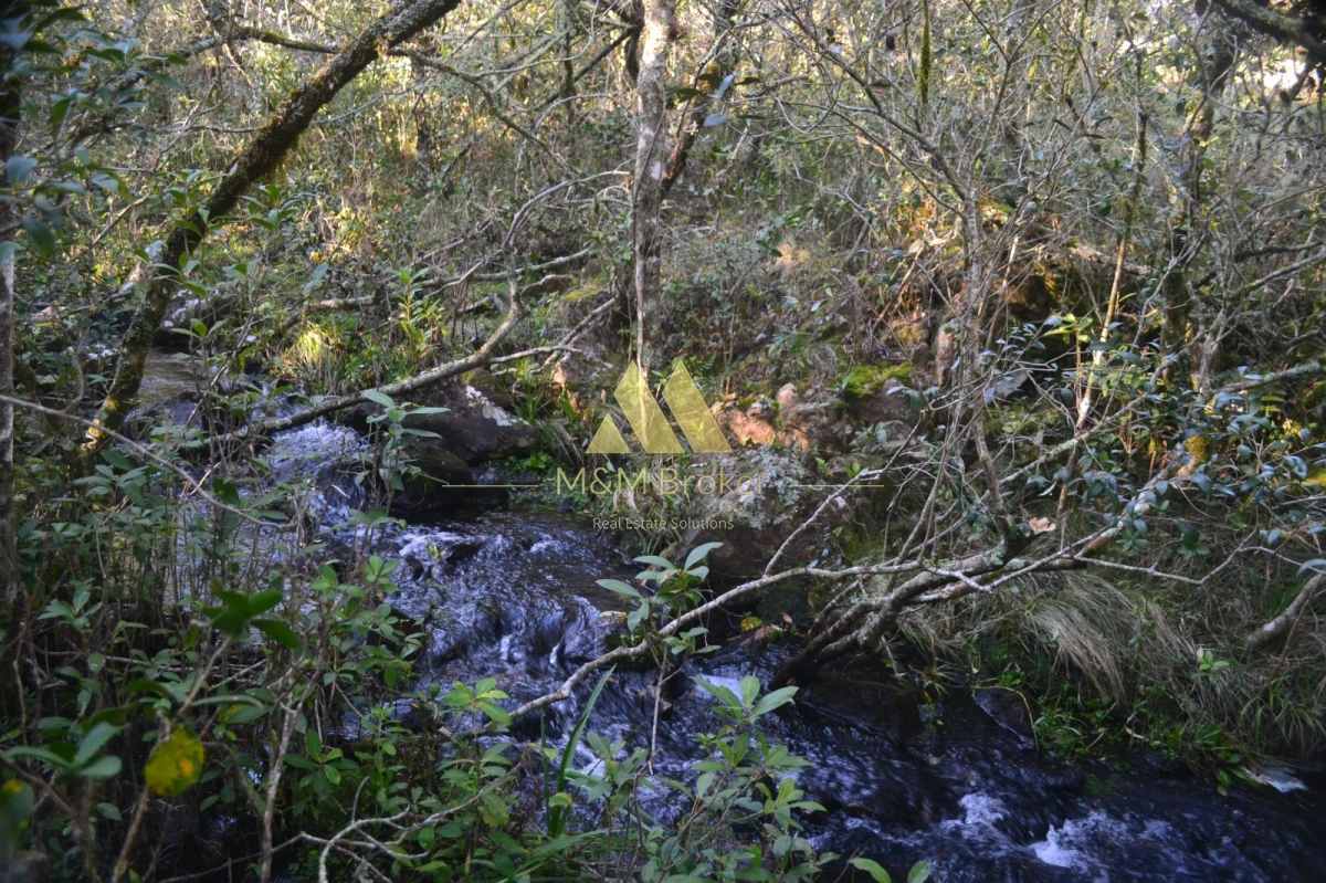 Campo Ref.850 - Campo de 52 Ha, Exclusivo en Maldonado Cerro Catedral!!!  