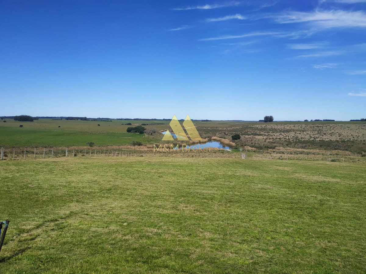 Campo Ref.806 - Venta de campo 138ha. en Garzón Abajo