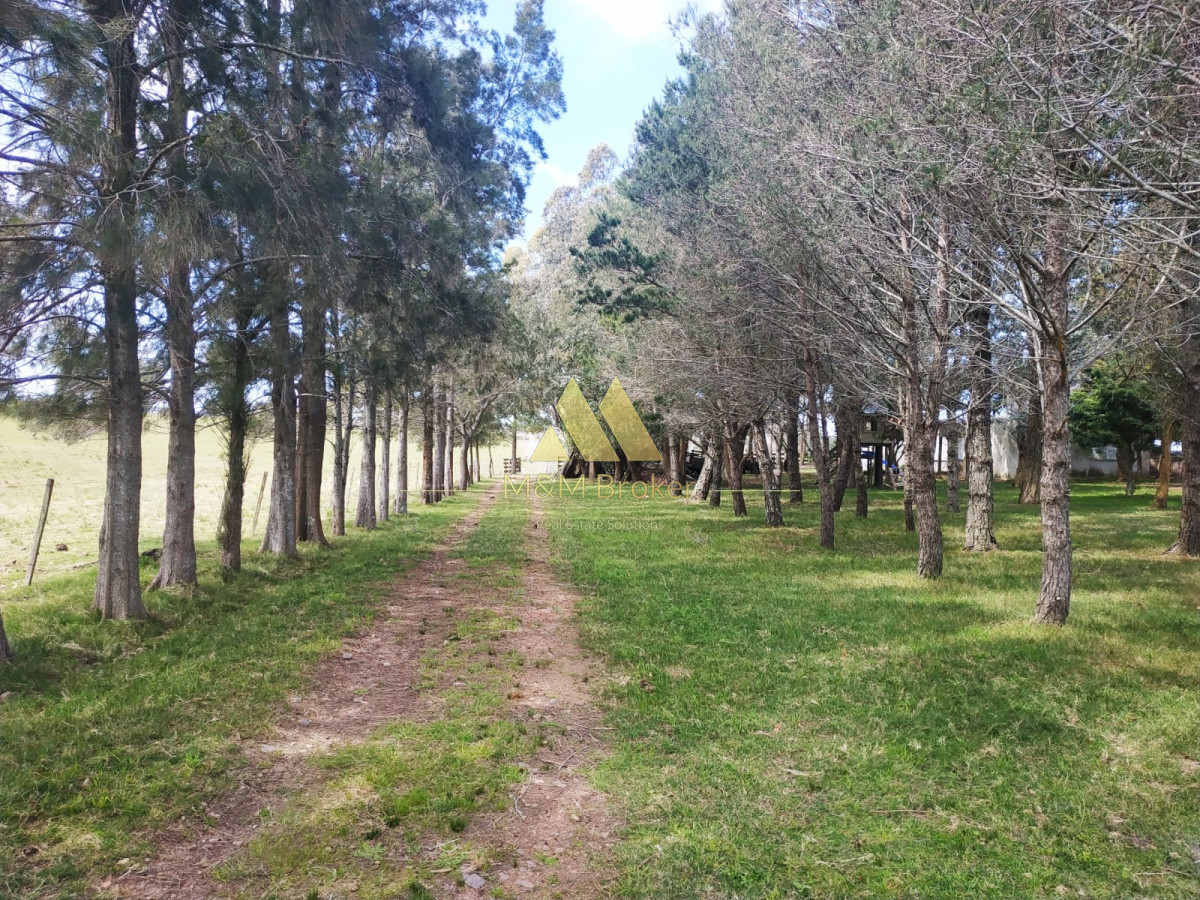Campo Ref.806 - Venta de campo 138ha. en Garzón Abajo