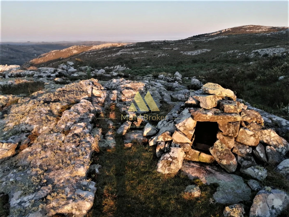 Campo Ref.850 - Campo de 52 Ha, Exclusivo en Maldonado Cerro Catedral!!!  