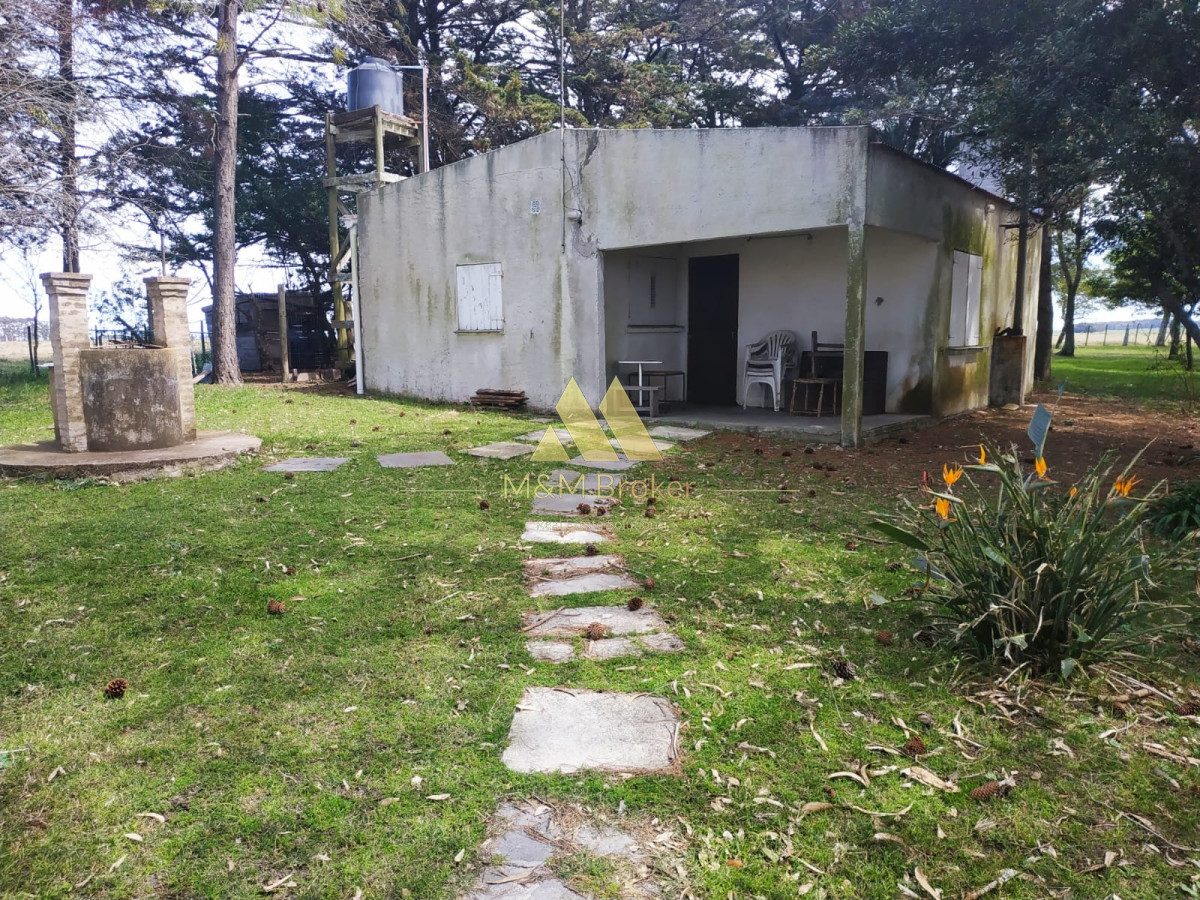 Campo Ref.806 - Venta de campo 138ha. en Garzón Abajo