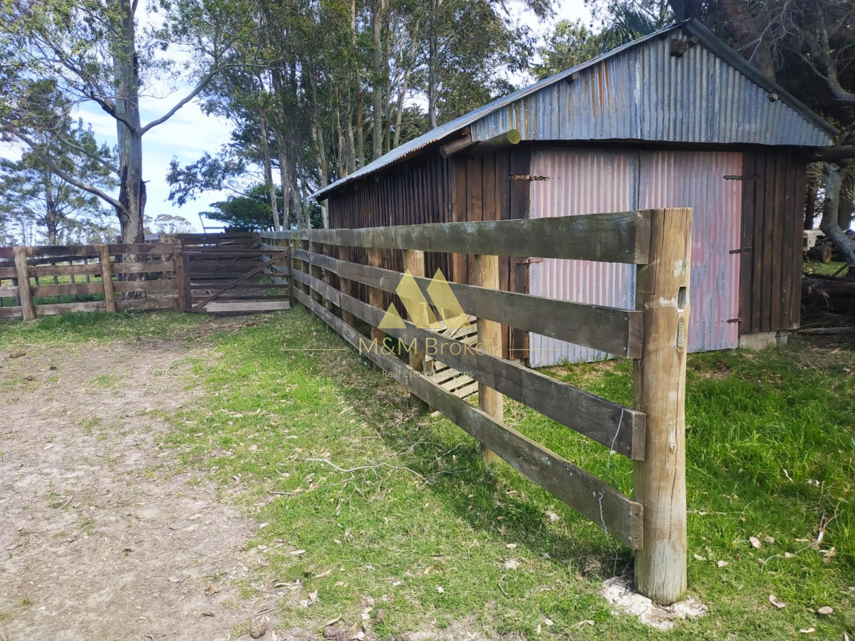 Campo Ref.806 - Venta de campo 138ha. en Garzón Abajo