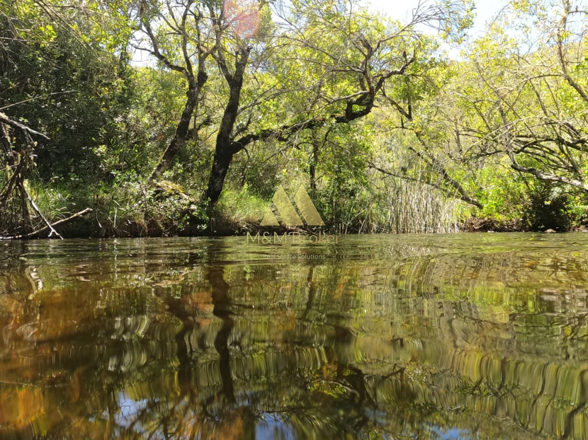 Campo Ref.850 - Campo de 52 Ha, Exclusivo en Maldonado Cerro Catedral!!!  
