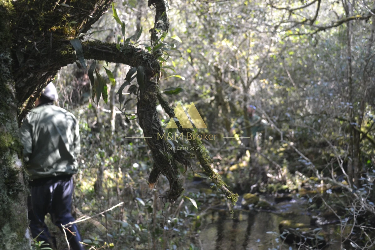 Campo Ref.850 - Campo de 52 Ha, Exclusivo en Maldonado Cerro Catedral!!!  