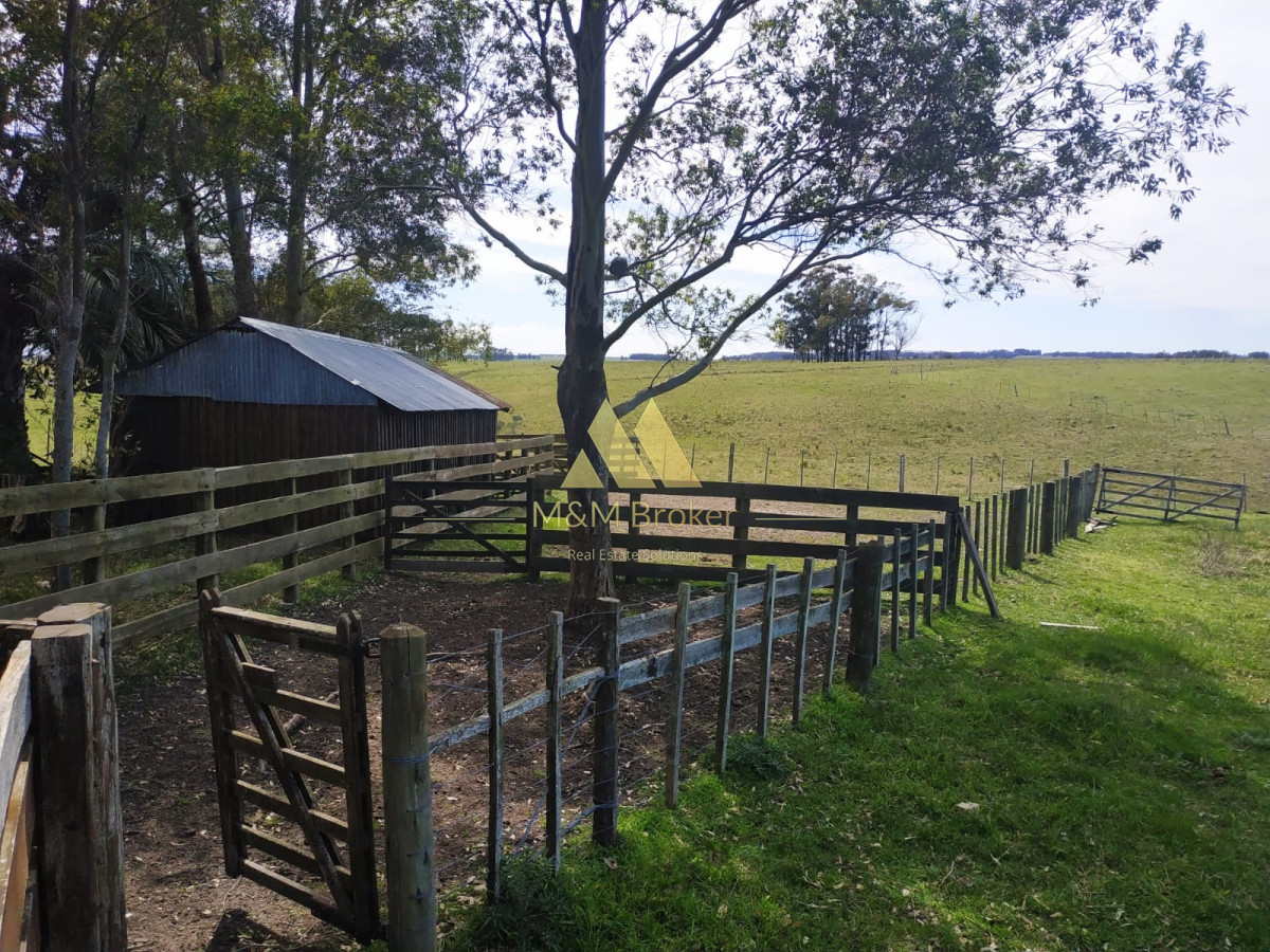 Campo Ref.806 - Venta de campo 138ha. en Garzón Abajo