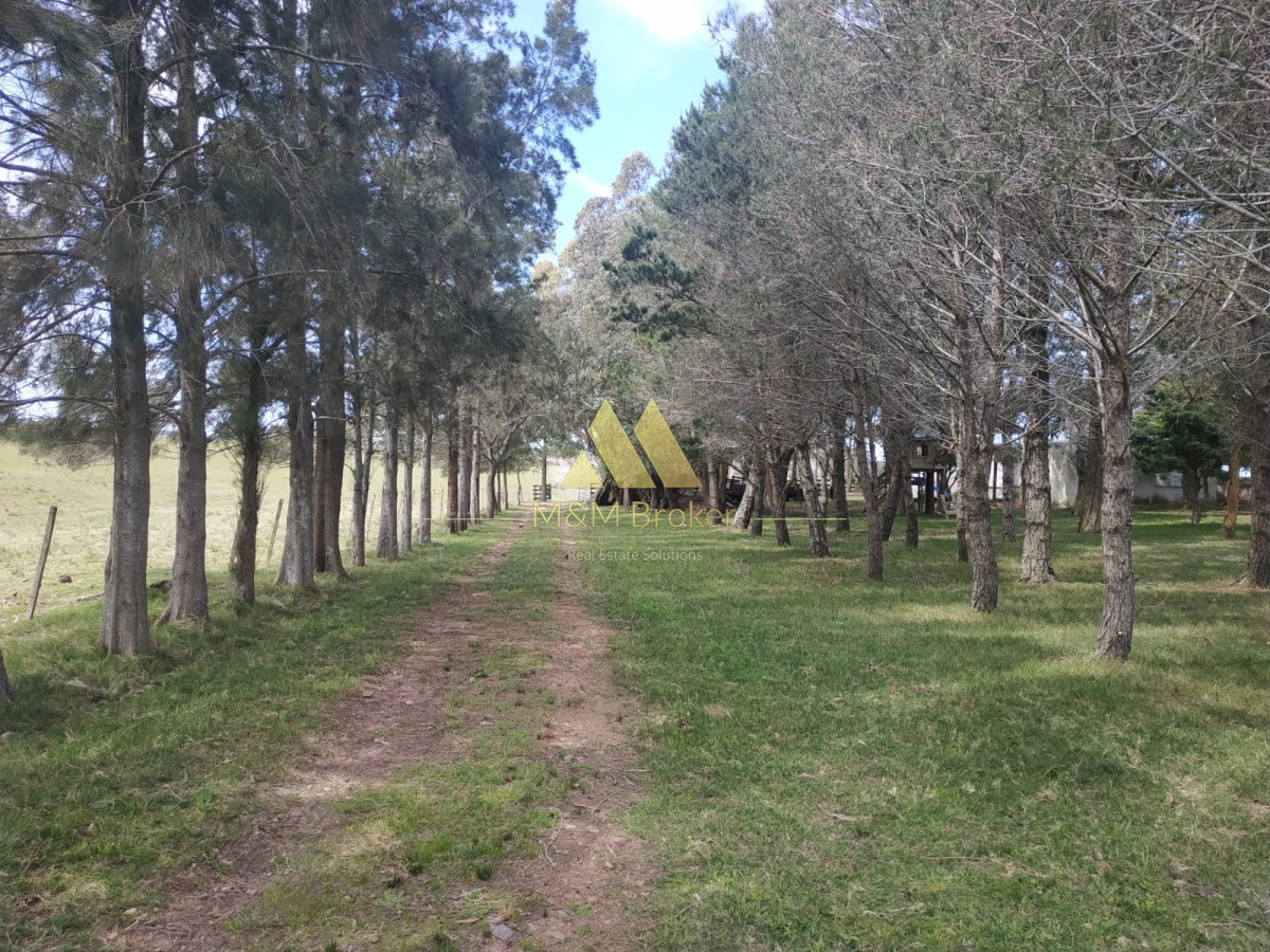 Campo Ref.806 - Venta de campo 138ha. en Garzón Abajo