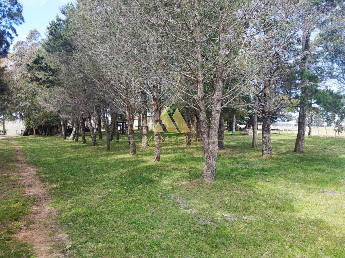 Campo Ref.806 - Venta de campo 138ha. en Garzón Abajo