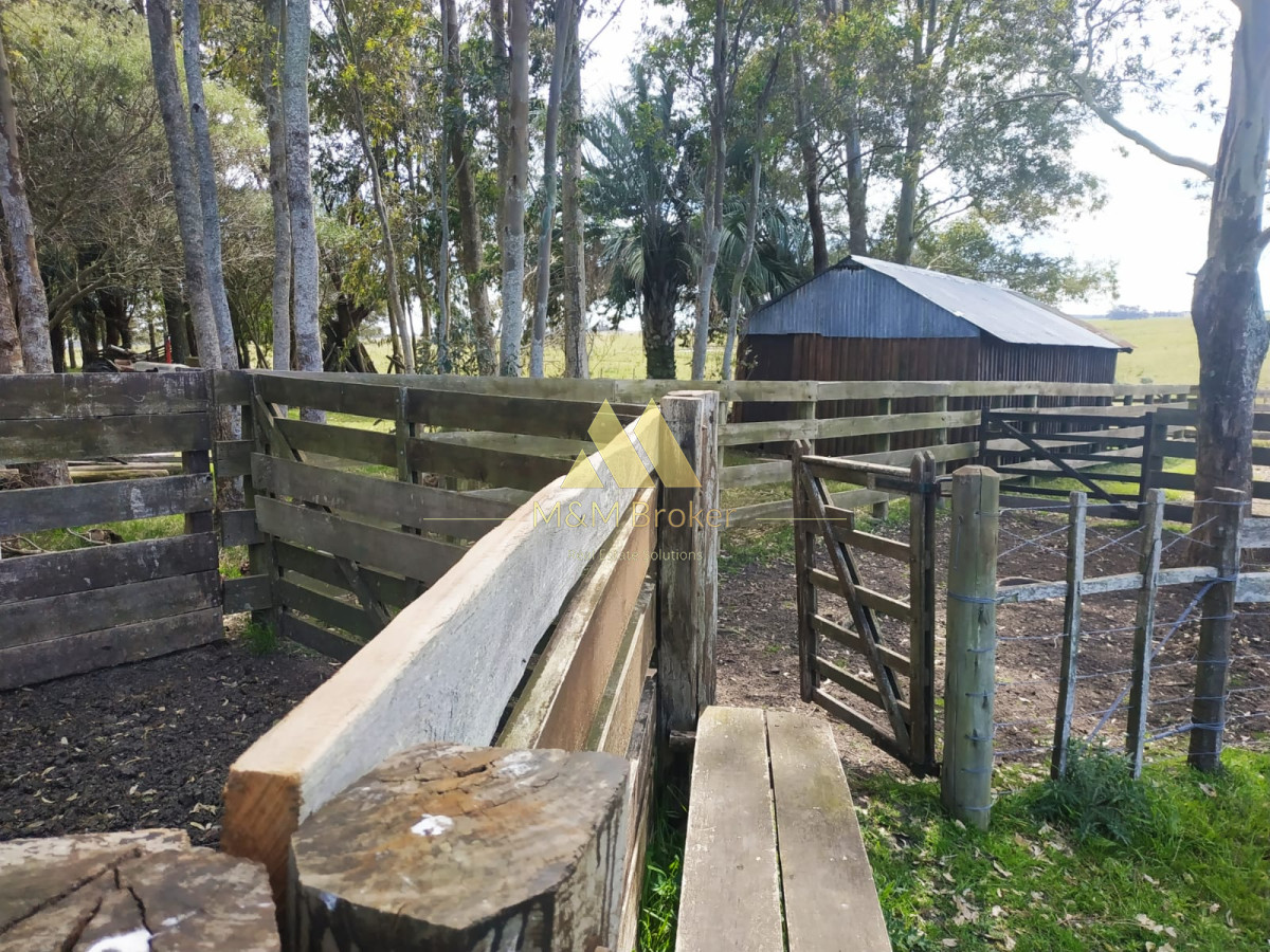 Campo Ref.806 - Venta de campo 138ha. en Garzón Abajo