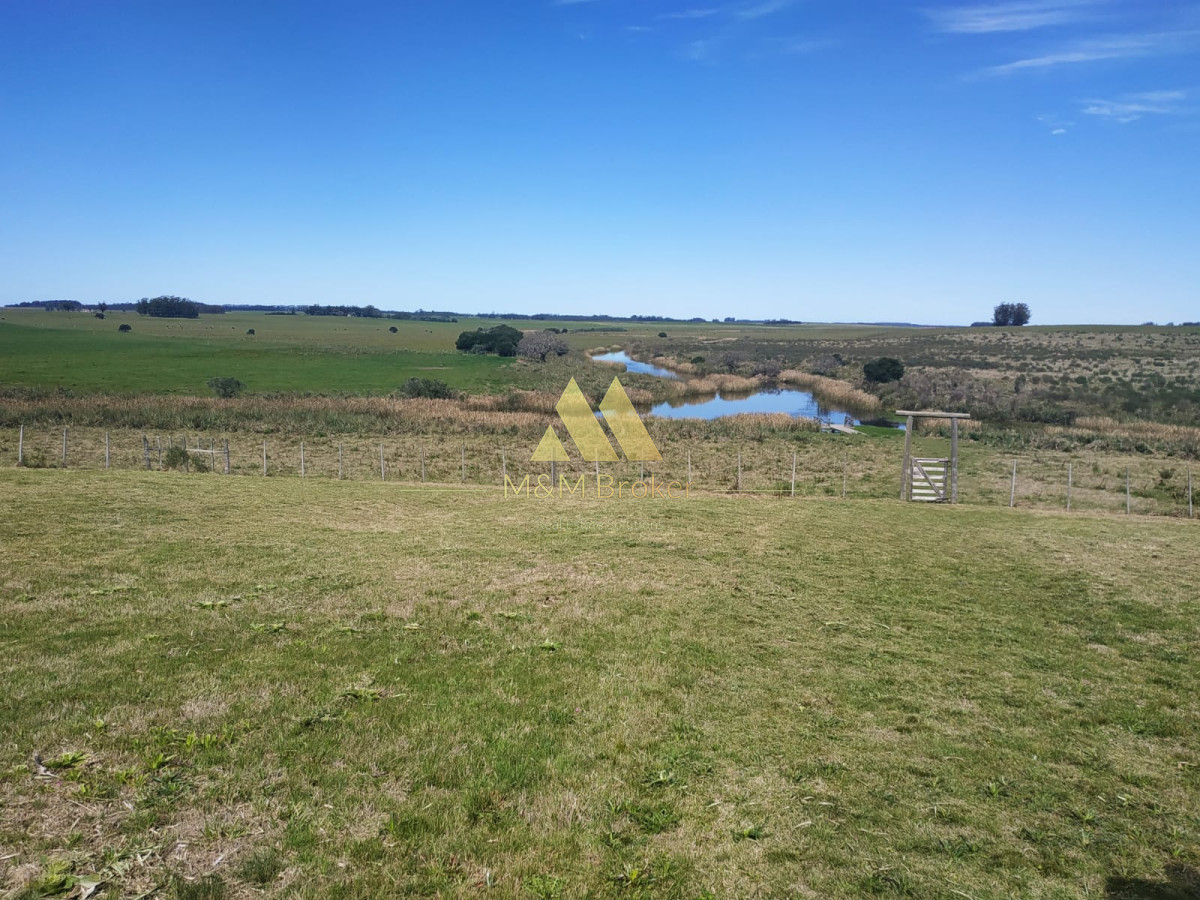 Campo Ref.806 - Venta de campo 138ha. en Garzón Abajo
