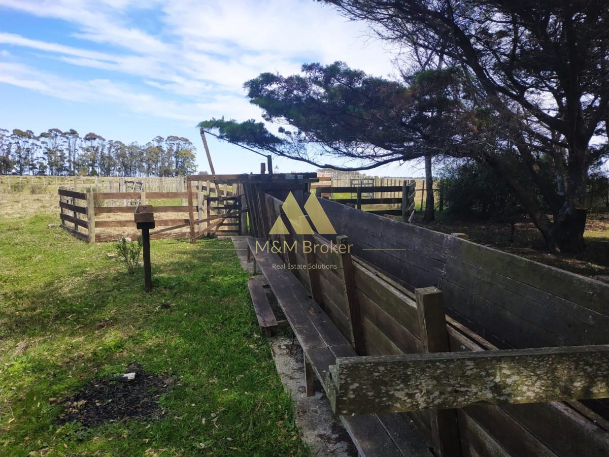 Campo Ref.806 - Venta de campo 138ha. en Garzón Abajo