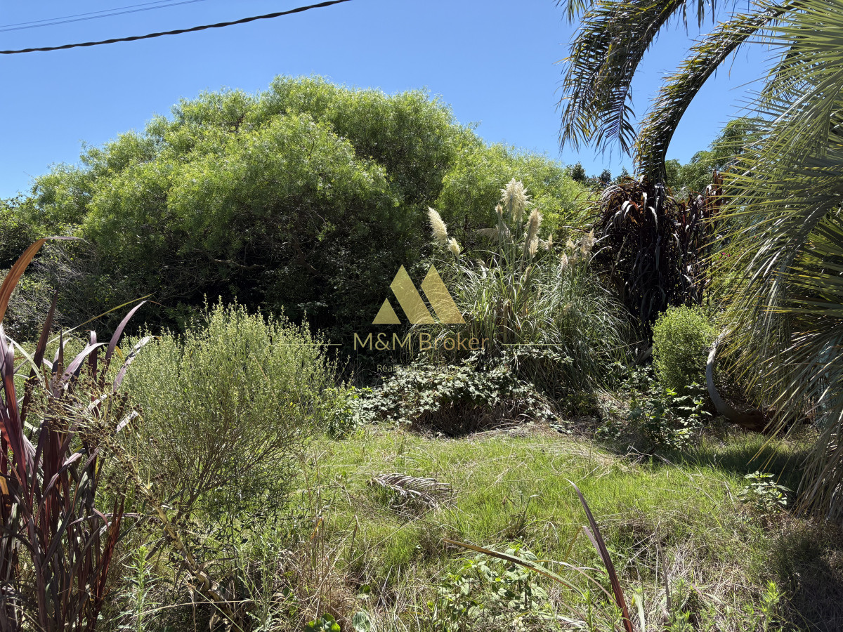 Terreno ID.680 - Oportunidad! Terreno en Balneario Buenos Aires 450 mts2