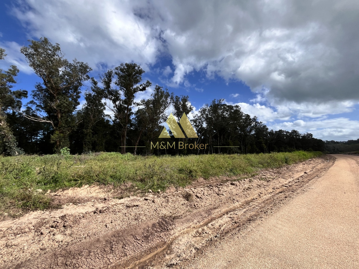 Terreno ID.409 - Venta terreno Pda 45 mansa (barrio privado)