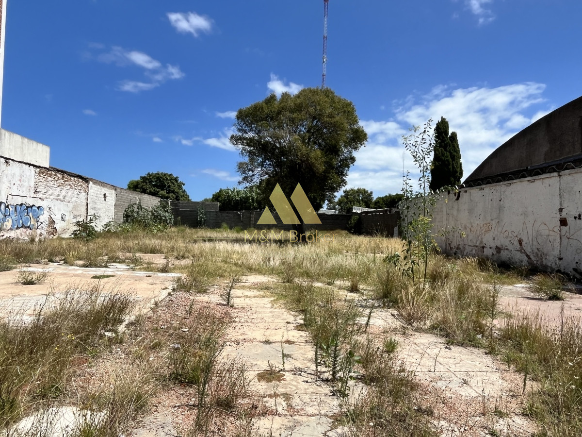 Centro Maldonado - GoPunta - Portal Inmobiliario de Punta del Este - Maldonado