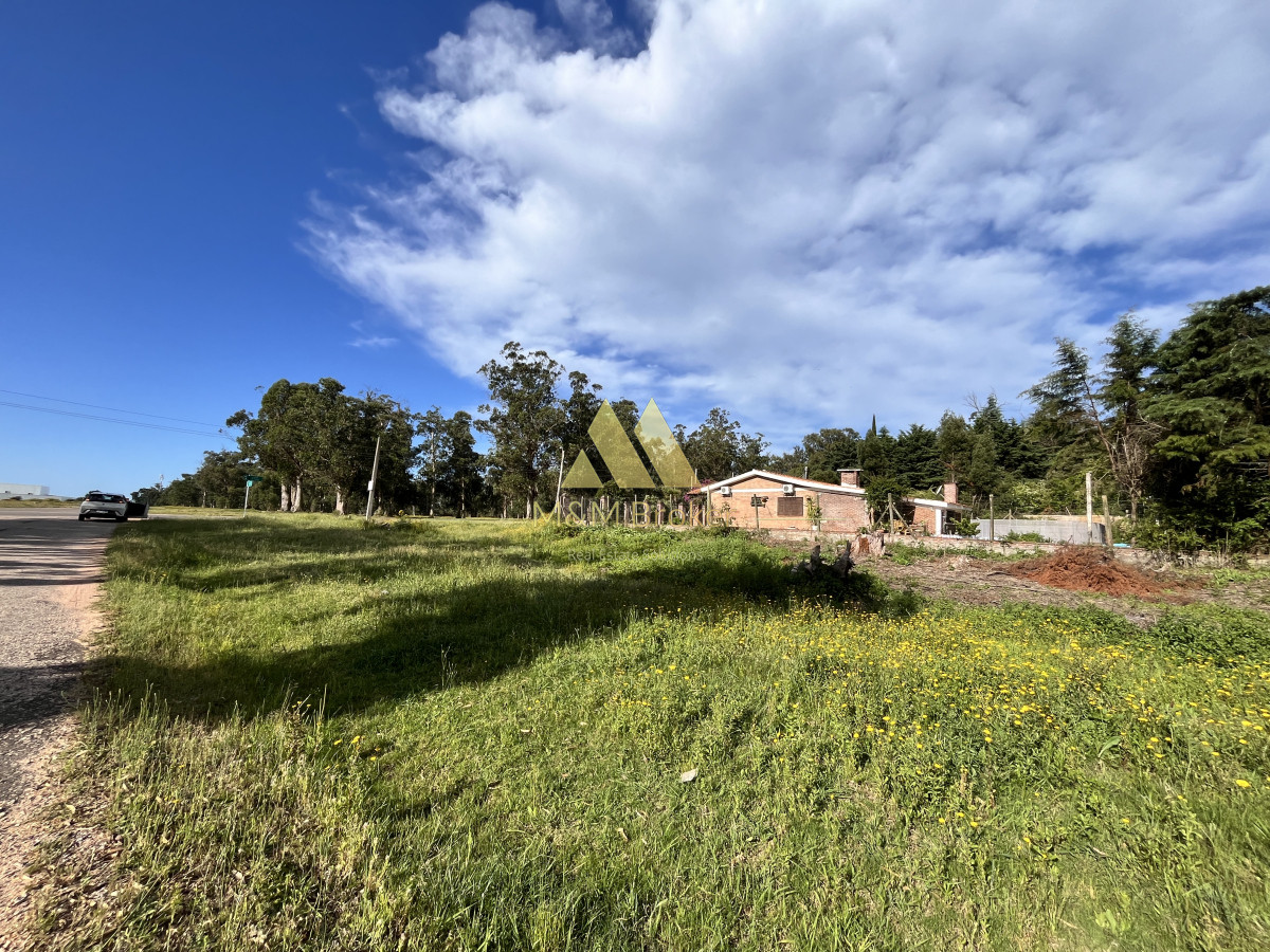Golf - GoPunta - Portal Inmobiliario de Punta del Este - Maldonado