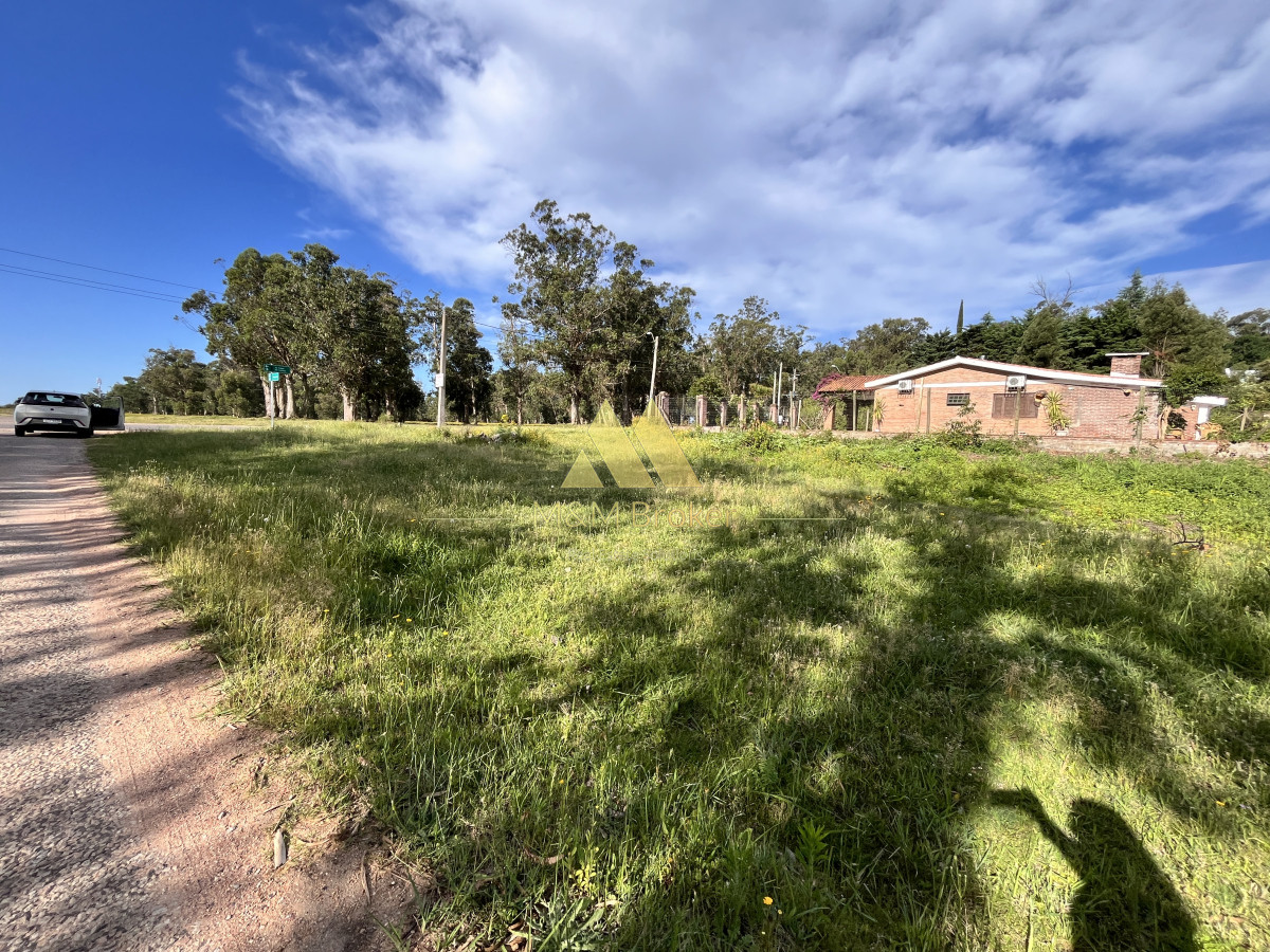 Terreno ID.647 - Venta terreno 1016m2 zona Golf Punta del Este