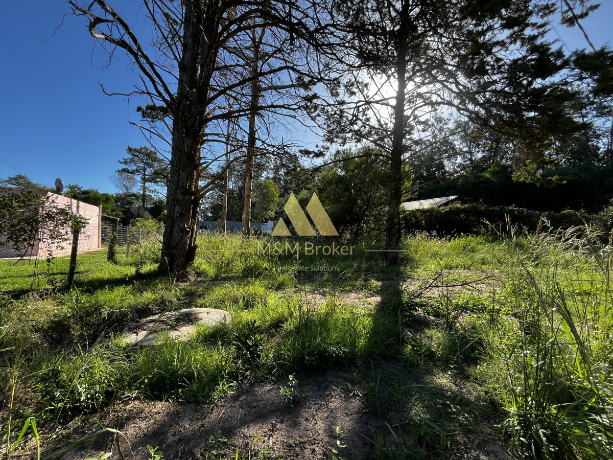 Ocean Park - GoPunta - Portal Inmobiliario de Punta del Este - Maldonado