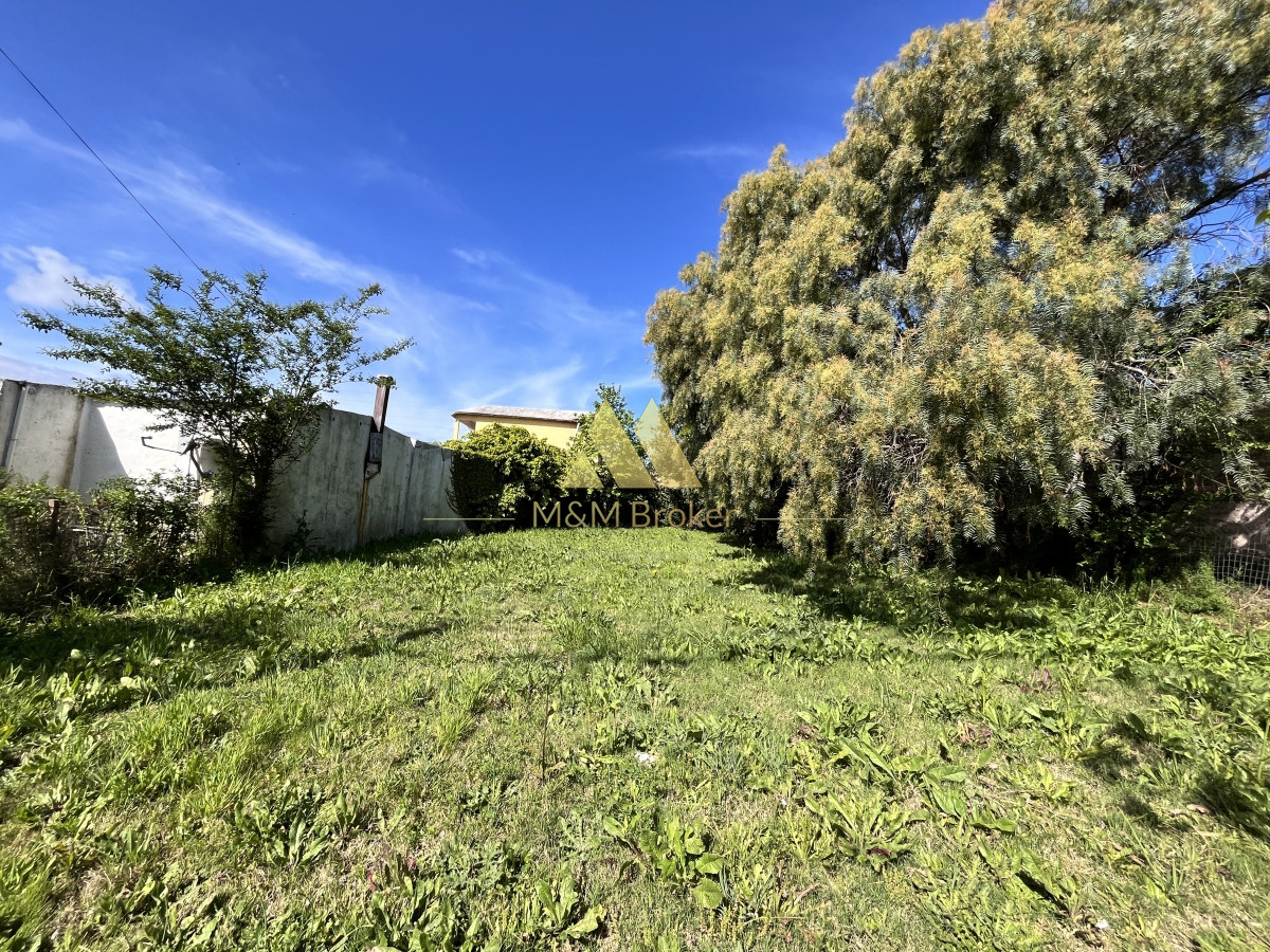 Terreno en Maldonado, - GoPunta - Portal Inmobiliario de Punta del Este - Maldonado