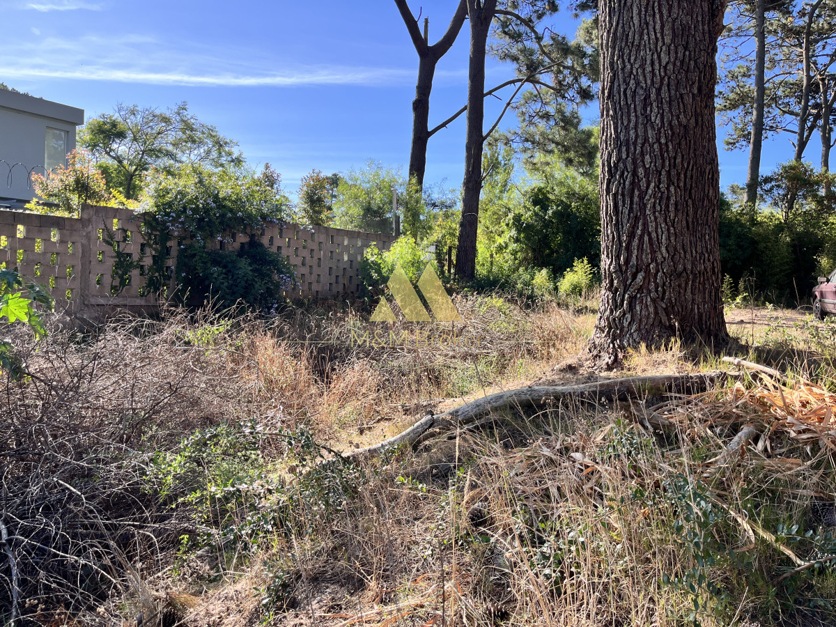 Terreno ID.675 - venta terreno 600m pocas cuadras del mar montoya punta del este