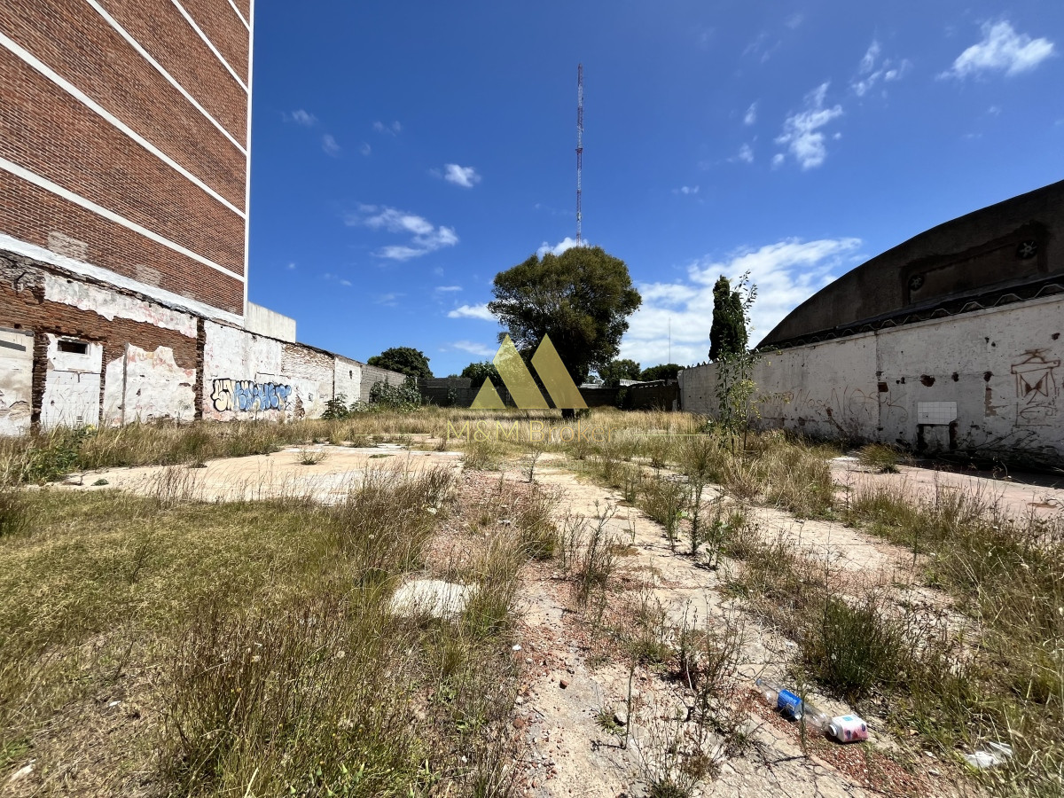 Centro Maldonado - GoPunta - Portal Inmobiliario de Punta del Este - Maldonado