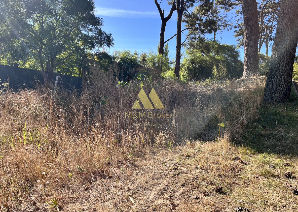 Terreno ID.675 - venta terreno 600m pocas cuadras del mar montoya punta del este