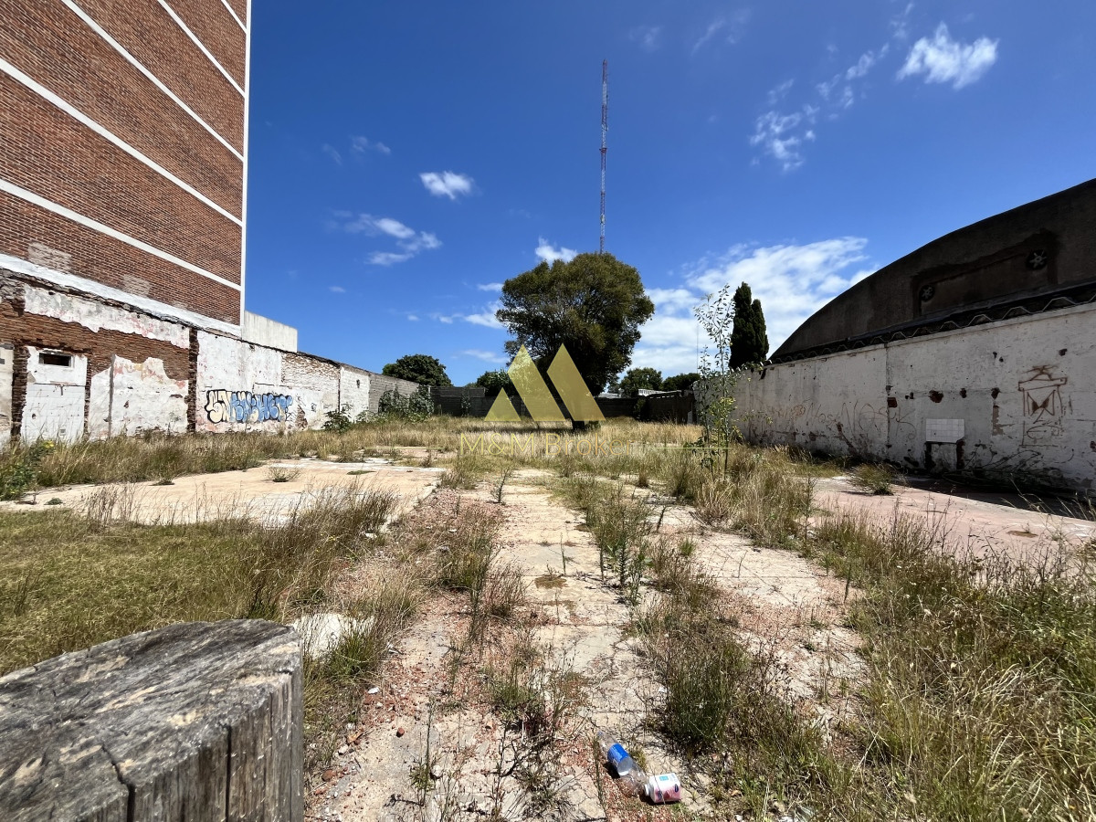 Centro Maldonado - GoPunta - Portal Inmobiliario de Punta del Este - Maldonado