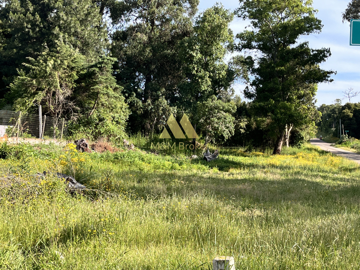 Terreno ID.647 - Venta terreno 1016m2 zona Golf Punta del Este