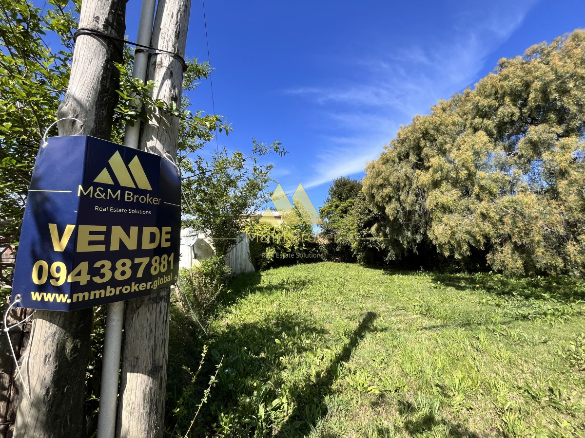 Terreno en Maldonado, - GoPunta - Portal Inmobiliario de Punta del Este - Maldonado