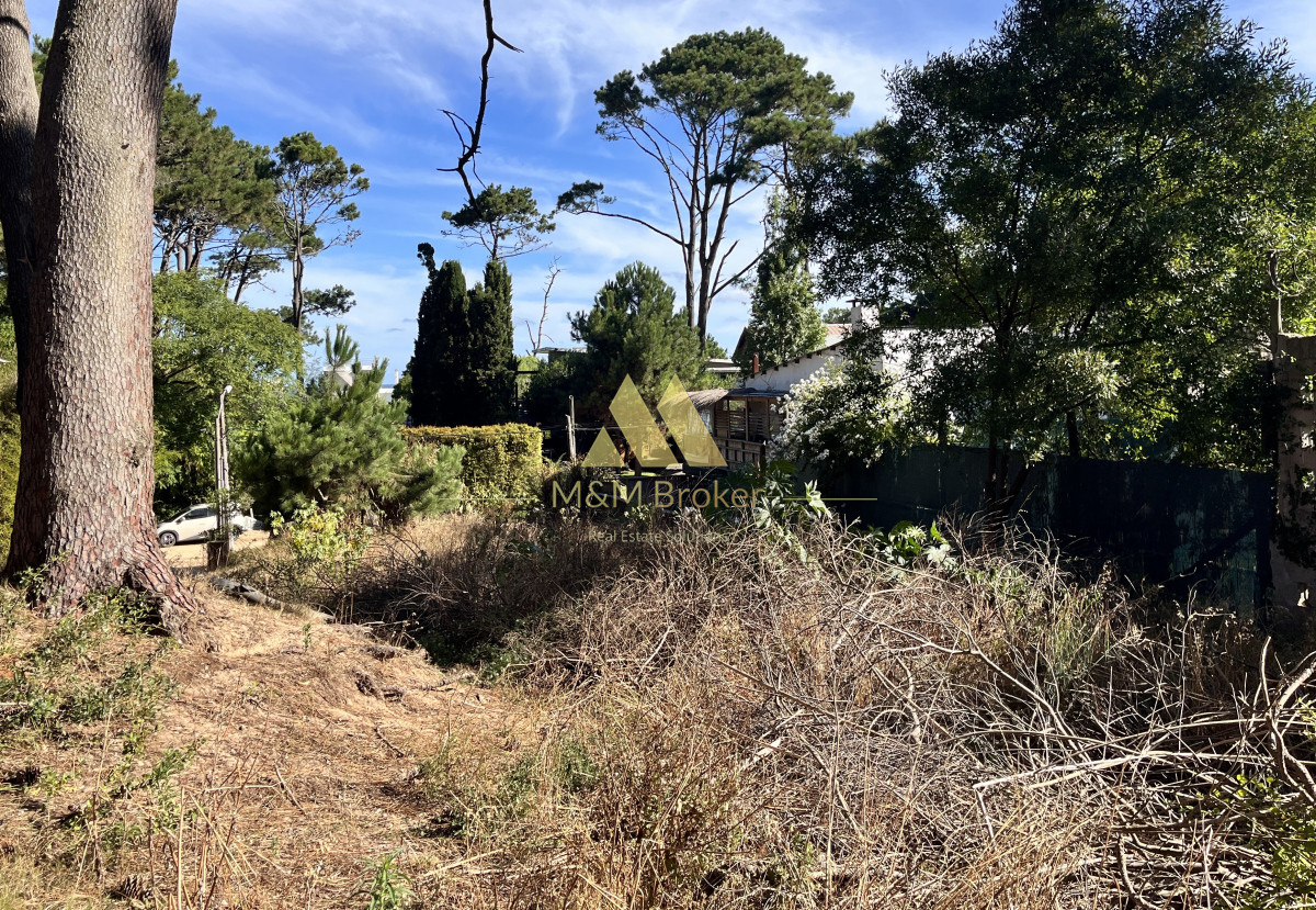 Terreno ID.675 - venta terreno 600m pocas cuadras del mar montoya punta del este