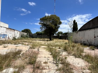 Venta terreno centro maldonado