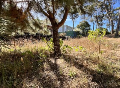 venta terreno 600m pocas cuadras del mar montoya punta del este