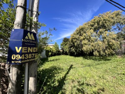 Terreno en Maldonado, 