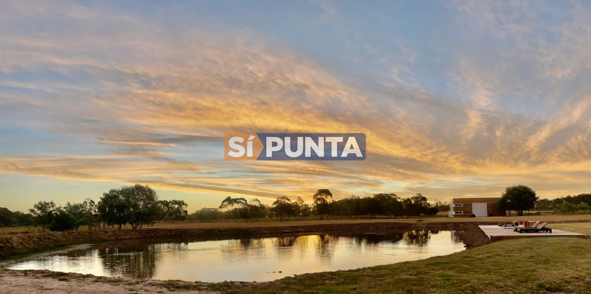 Chacra ID.13220 - Espectacular Chacra minimalista Jose Ignacio 