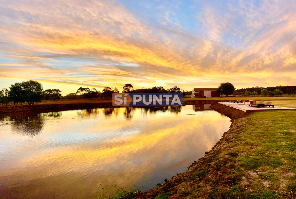 Chacra ID.13220 - Espectacular Chacra minimalista Jose Ignacio 