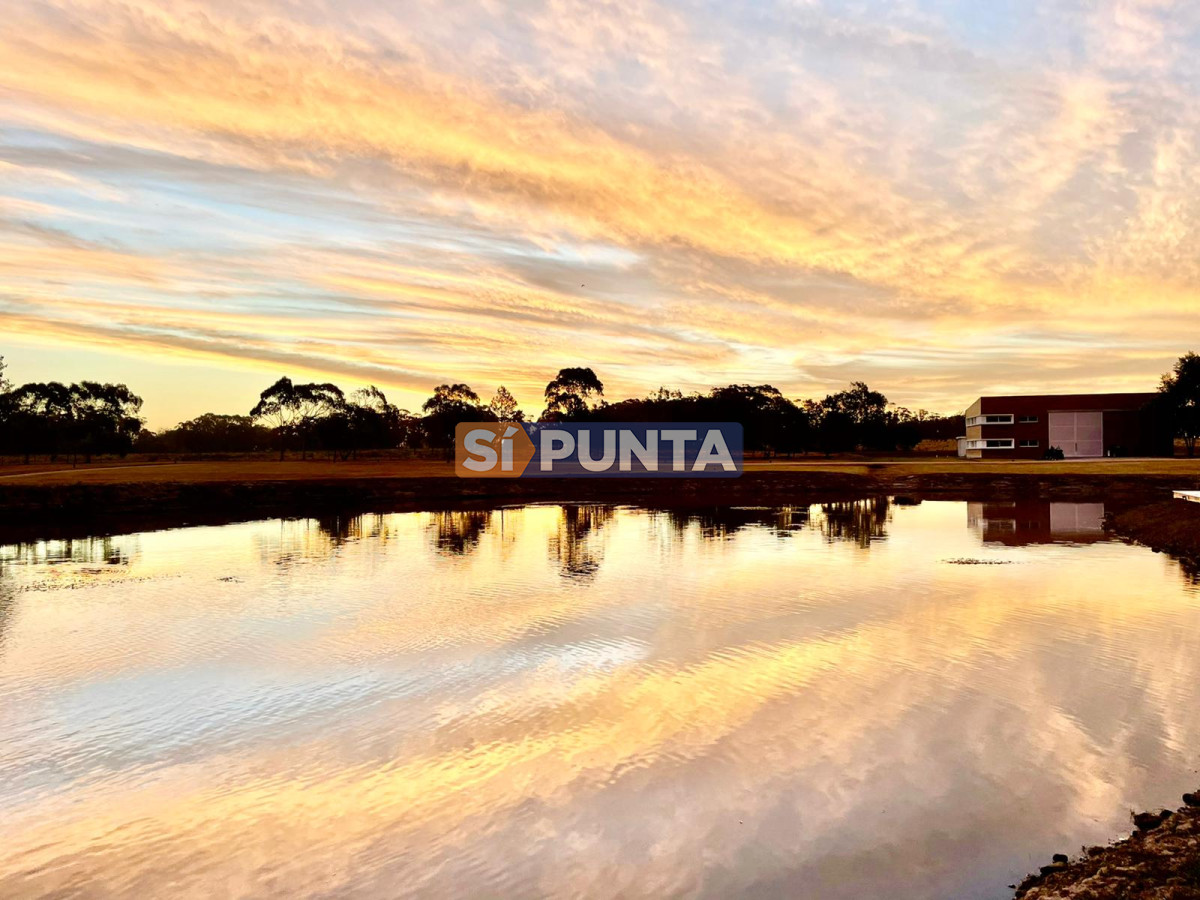 Chacra ID.13220 - Espectacular Chacra minimalista Jose Ignacio 