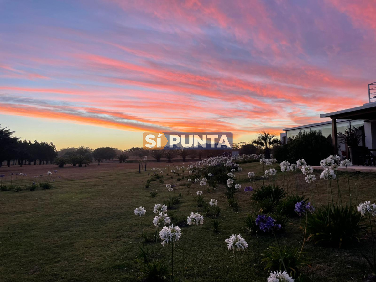 Chacra ID.13220 - Espectacular Chacra minimalista Jose Ignacio 