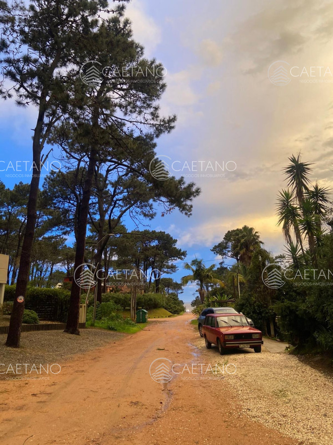Montoya - GoPunta - Portal Inmobiliario de Punta del Este - Maldonado