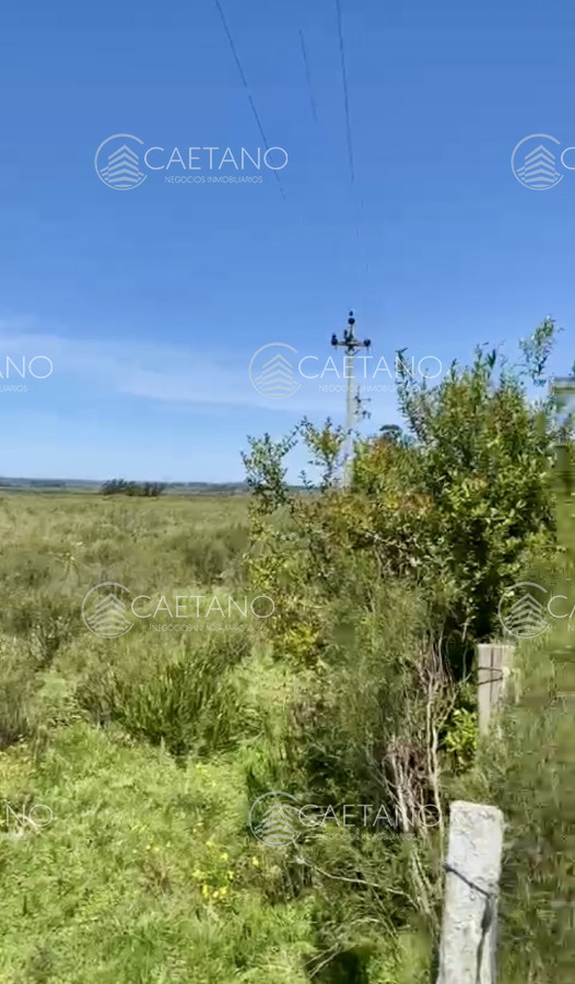Hermosa Chacra de 12 hectáreas en ubicación privilegiada a 25 minutos de Punta del Este - GoPunta - Portal Inmobiliario de Punta del Este - Maldonado