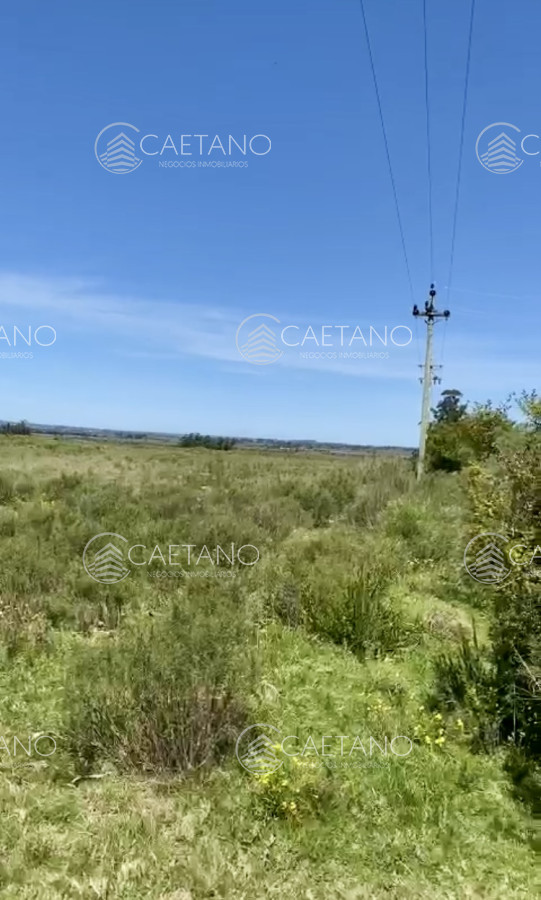 Hermosa Chacra de 12 hectáreas en ubicación privilegiada a 25 minutos de Punta del Este - GoPunta - Portal Inmobiliario de Punta del Este - Maldonado
