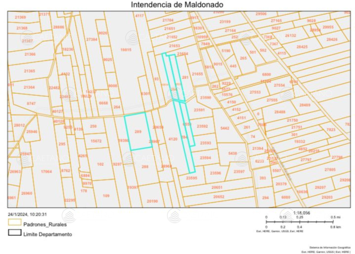 Camino de los Ceibos - GoPunta - Portal Inmobiliario de Punta del Este - Maldonado