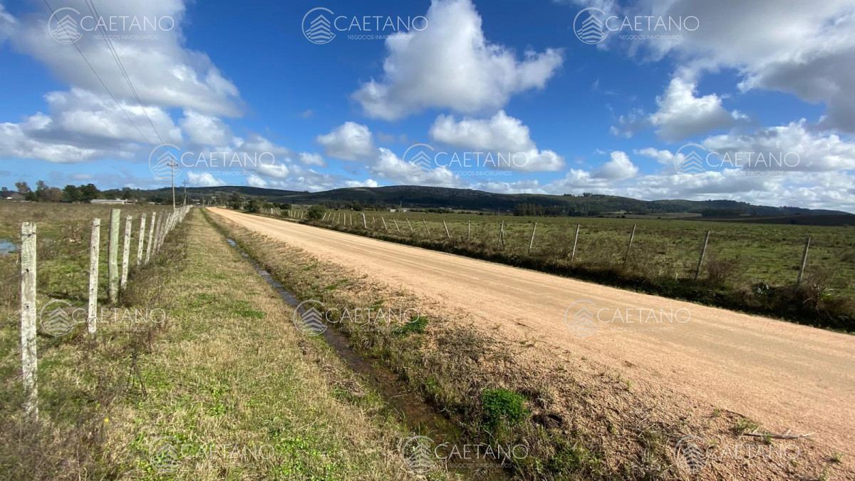 Camino de los Ceibos - GoPunta - Portal Inmobiliario de Punta del Este - Maldonado