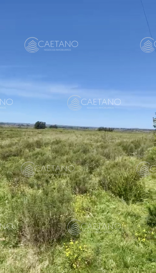 Hermosa Chacra de 12 hectáreas en ubicación privilegiada a 25 minutos de Punta del Este - GoPunta - Portal Inmobiliario de Punta del Este - Maldonado