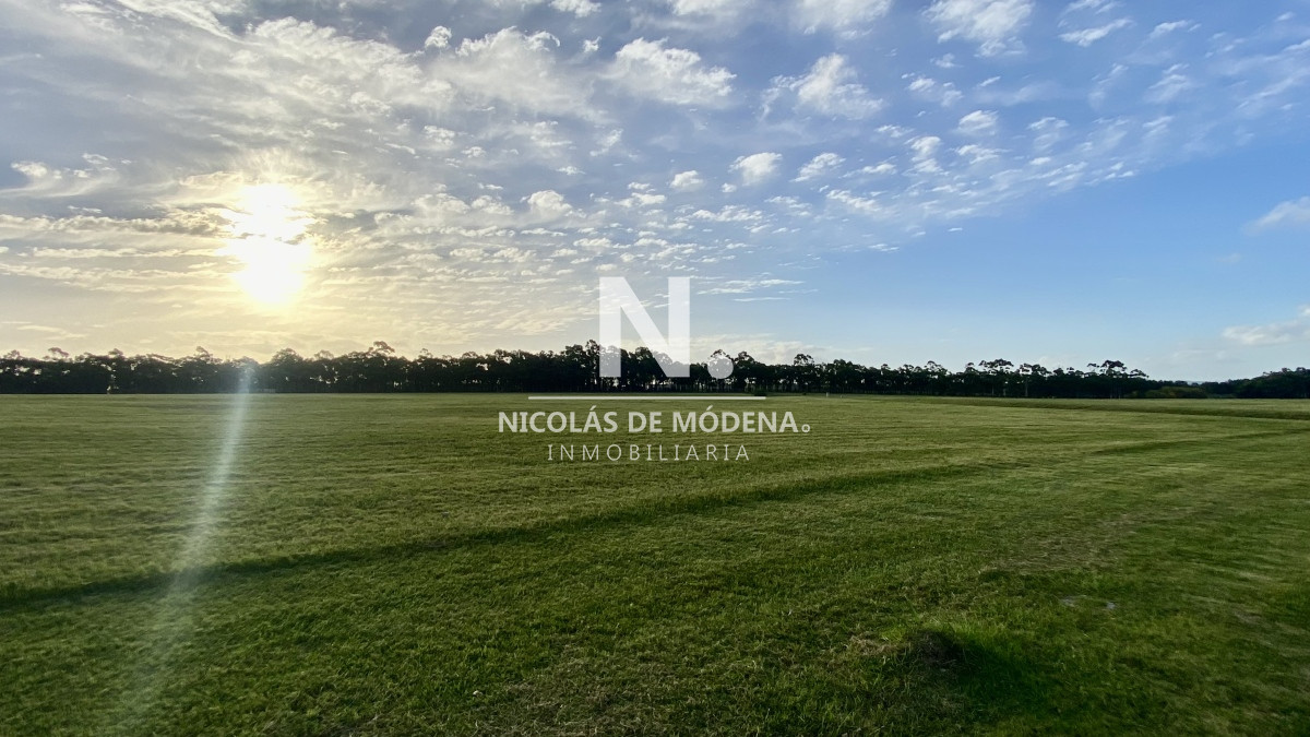 Laguna de los Cisnes - GoPunta - Portal Inmobiliario de Punta del Este - Maldonado