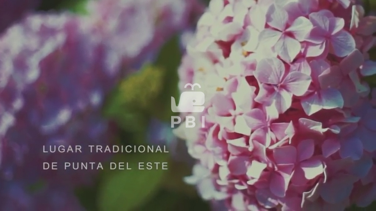 R3JhbiBjaGFsZXQgdHJhZGljaW9uYWwgOSBzdWl0ZXMgYSBwb2NhcyBjdWFkcmFzIGRlbCBNYXIuIC0gUmVmIDogUEJJMTU3MDQ=