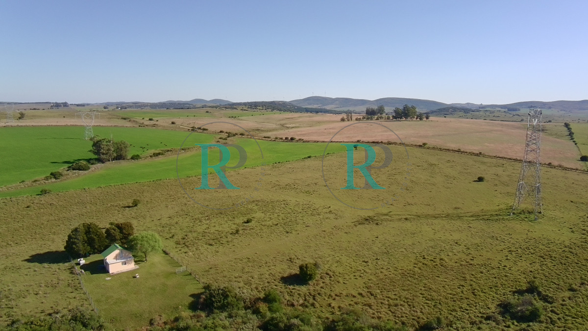 Chacra ID.2443 - ¡Oportunidad a 4 km de ruta 39 en las Cañas! 2 Chacras de 7 Hectáreas con monte de Eucalipto 