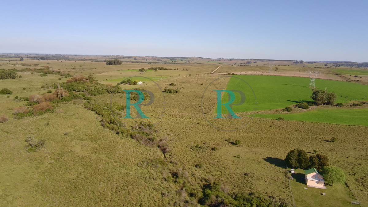 Chacra ID.2443 - ¡Oportunidad a 4 km de ruta 39 en las Cañas! 2 Chacras de 7 Hectáreas con monte de Eucalipto 