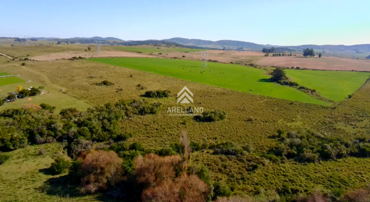 Chacra ID.5813 - ¡Oportunidad a 4 km de ruta 39 en las Cañas! Chacra de 7 Hectáreas con monte de Eucalipto blanco (3 hectáreas)