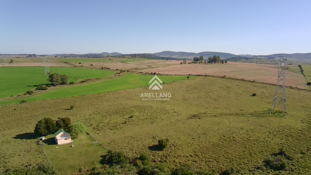 Chacra ID.5813 - ¡Oportunidad a 4 km de ruta 39 en las Cañas! Chacra de 7 Hectáreas con monte de Eucalipto blanco (3 hectáreas)