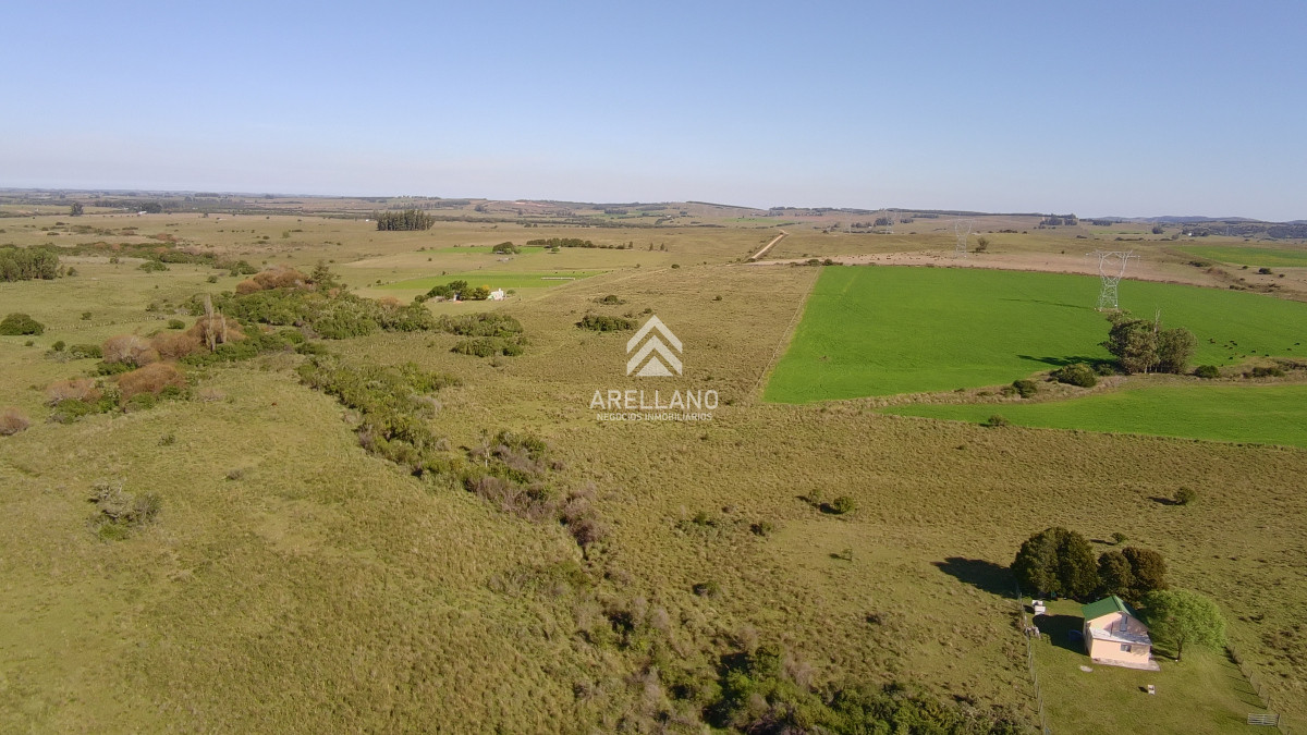 Chacra ID.5813 - ¡Oportunidad a 4 km de ruta 39 en las Cañas! Chacra de 7 Hectáreas con monte de Eucalipto blanco (3 hectáreas)
