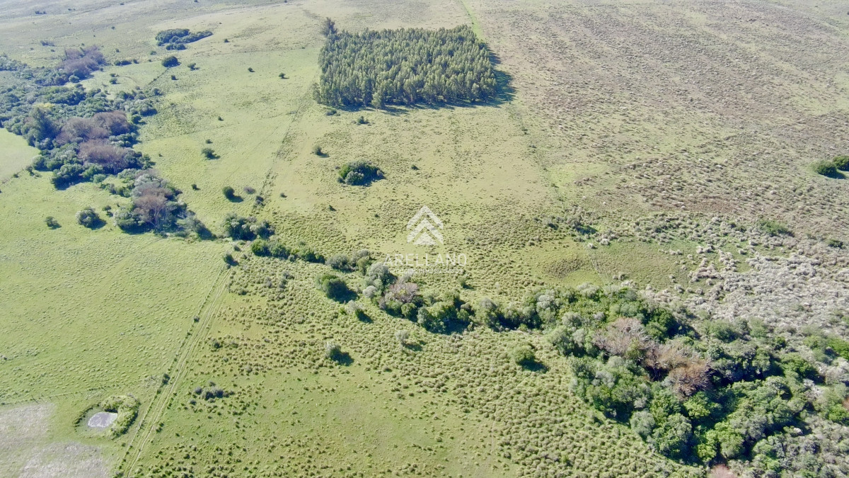 Chacra ID.5813 - ¡Oportunidad a 4 km de ruta 39 en las Cañas! Chacra de 7 Hectáreas con monte de Eucalipto blanco (3 hectáreas)