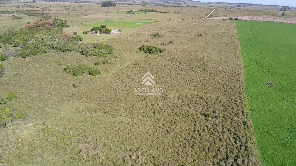 Chacra ID.5813 - ¡Oportunidad a 4 km de ruta 39 en las Cañas! Chacra de 7 Hectáreas con monte de Eucalipto blanco (3 hectáreas)